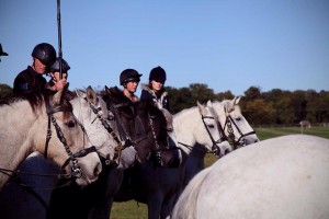 Jo sound recording horses hooves